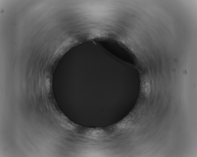 X0000089350716200707061024