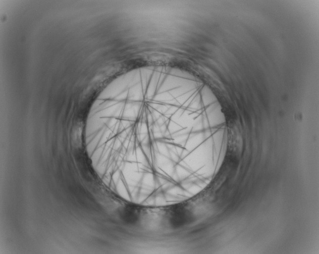 X0000089350717200707061024