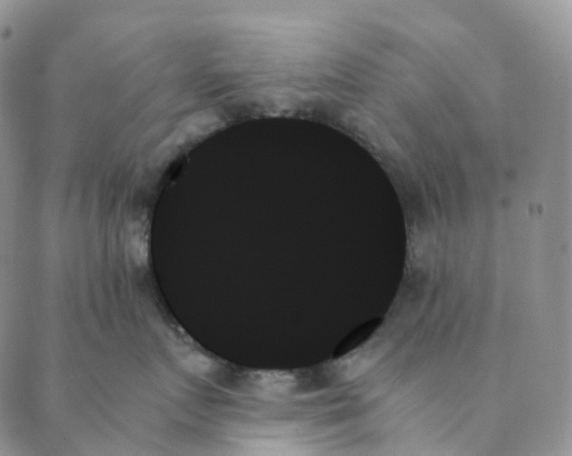 X0000089350719200707061024