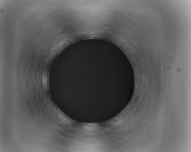 X0000089350720200707061024