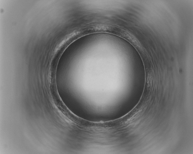 X0000089350722200707061024