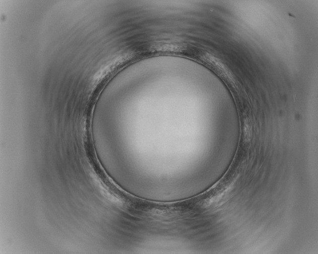X0000089350725200707061024