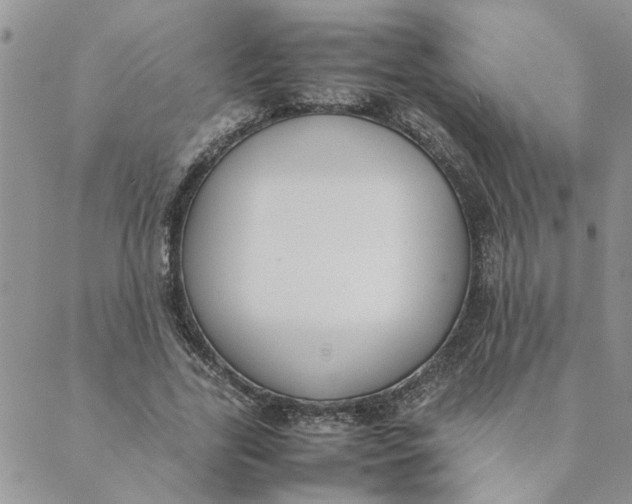 X0000089350731200707061024
