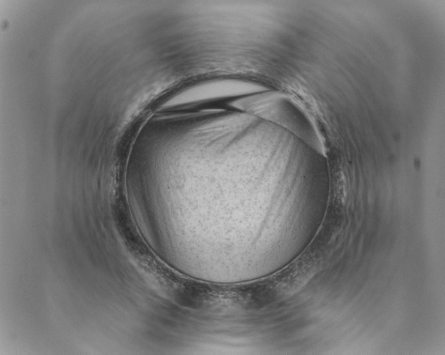 X0000089350736200707061024