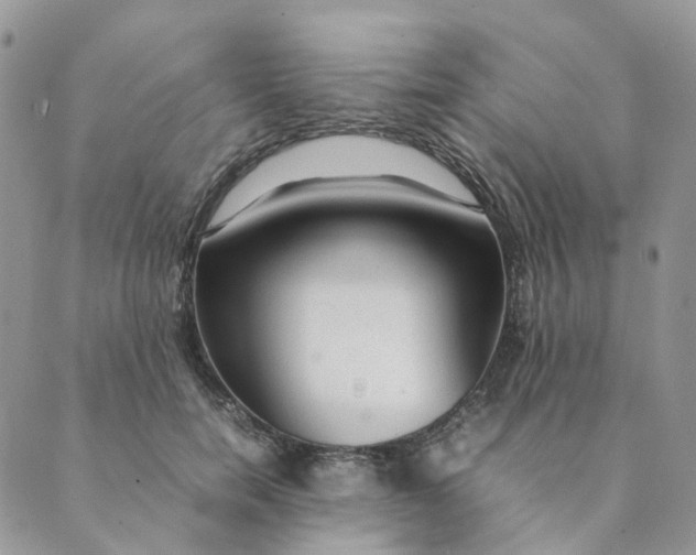 X0000089350750200707061024