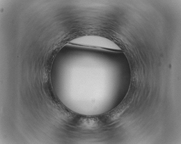 X0000089350751200707061024