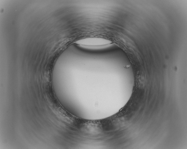 X0000089350756200707061024