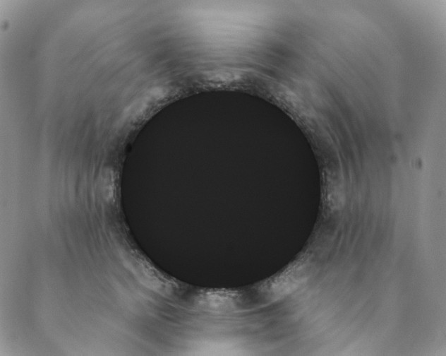 X0000089350758200707061024
