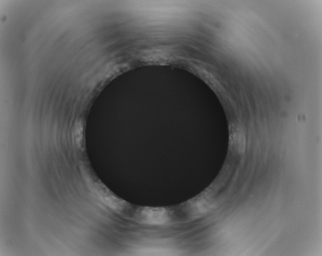 X0000089350767200707061024