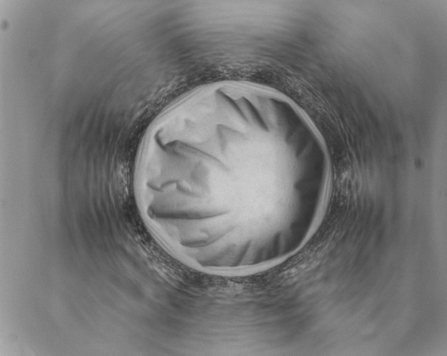 X0000089350772200707061023