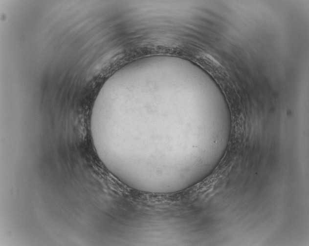 X0000089350774200707061023