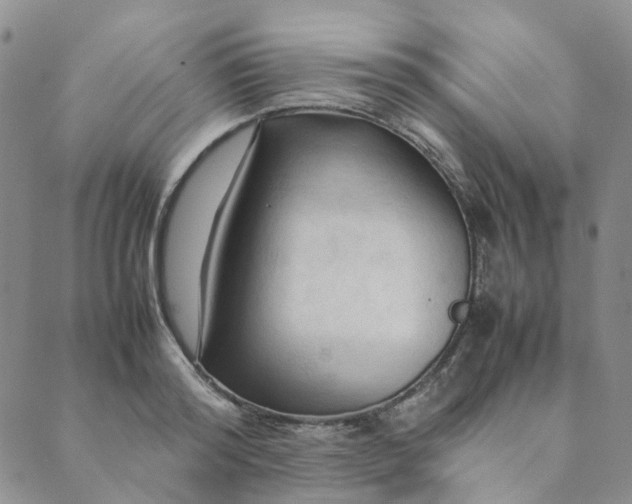 X0000089350796200707061023