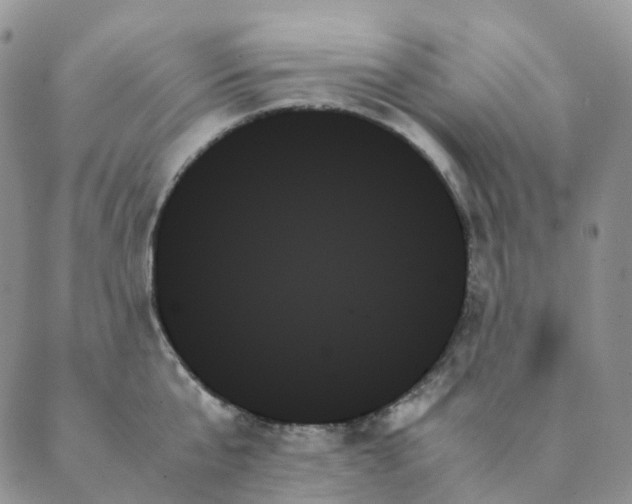 X0000089350807200707061023