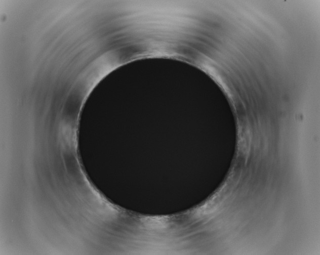 X0000089350810200707061023