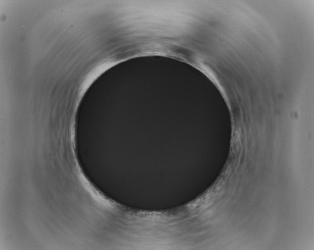 X0000089350811200707061023