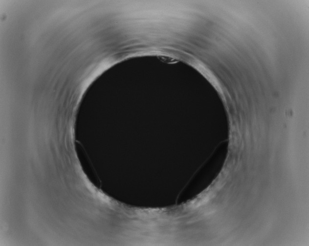 X0000089350813200707061023