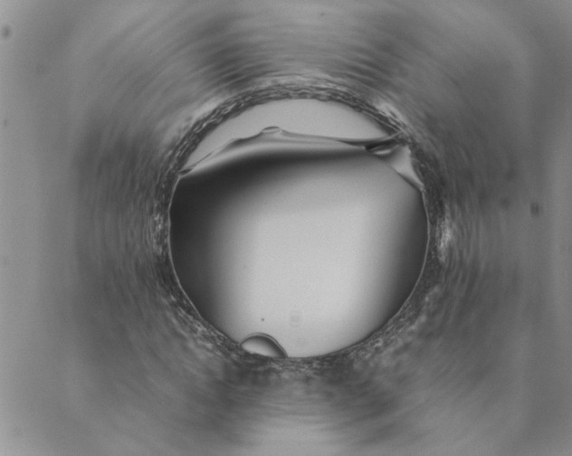 X0000089350822200707061022