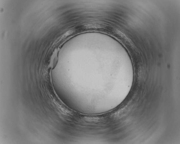 X0000089350825200707061022