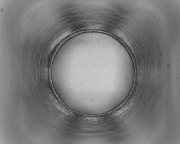 X0000089350827200707061022