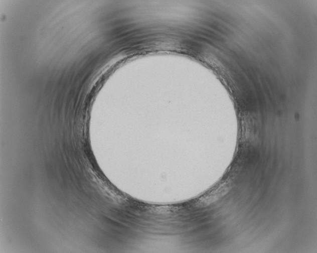X0000089350828200707061022