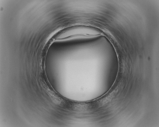 X0000089350830200707061022