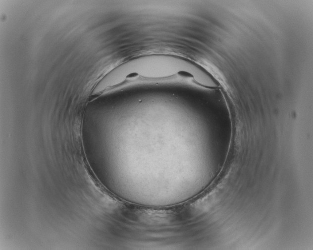 X0000089350849200707061023