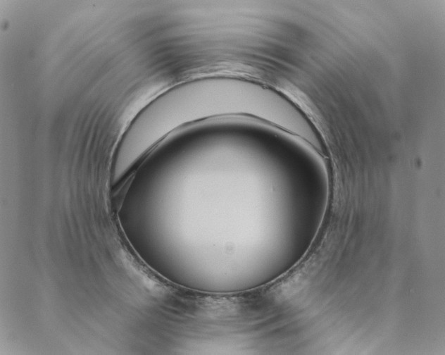 X0000089350850200707061023