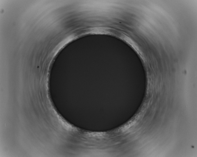 X0000089350853200707061023