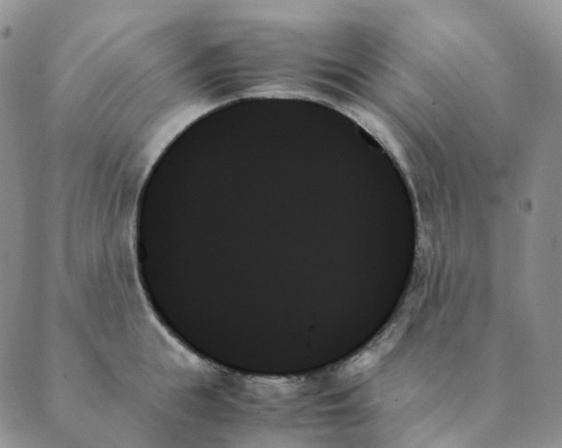 X0000089350855200707061023