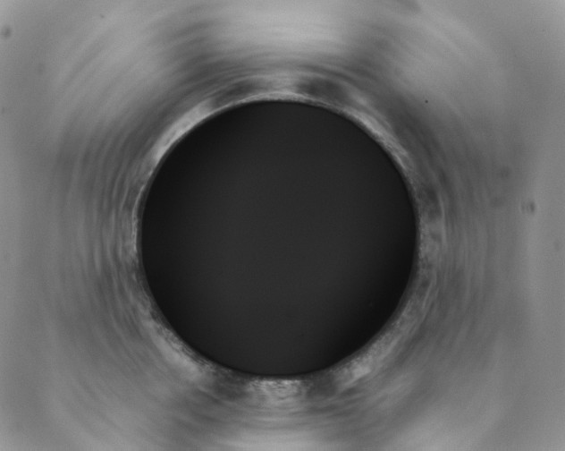 X0000089350858200707061023