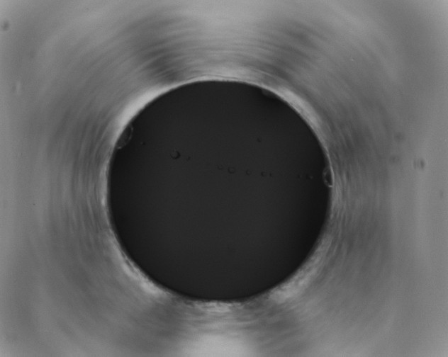 X0000089350862200707061023