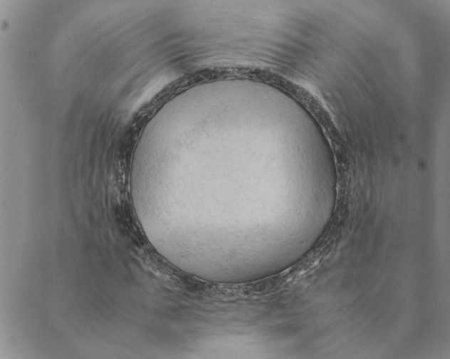 X0000089350871200707061022