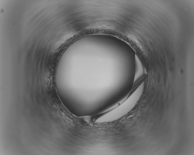 X0000089350872200707061022