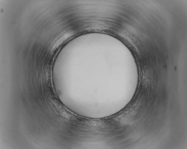 X0000089350874200707061022