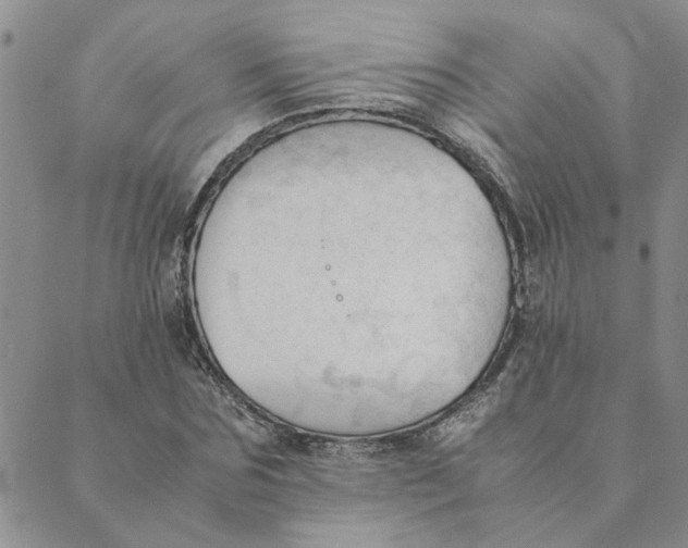 X0000089350875200707061022