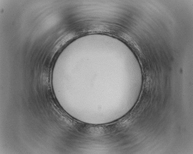 X0000089350882200707061022