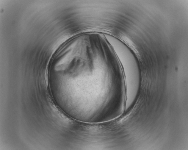X0000089350892200707061022