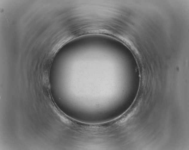 X0000089350897200707061021