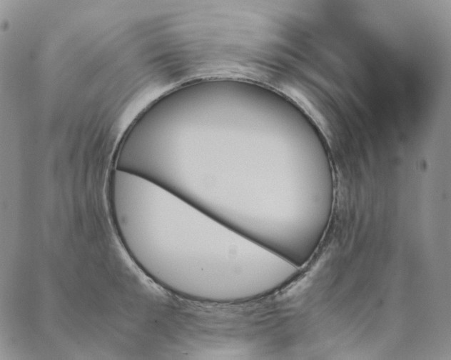 X0000089350901200707061021