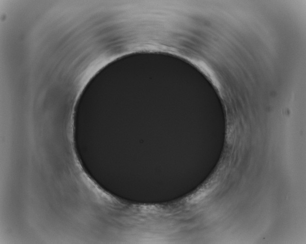 X0000089350903200707061021