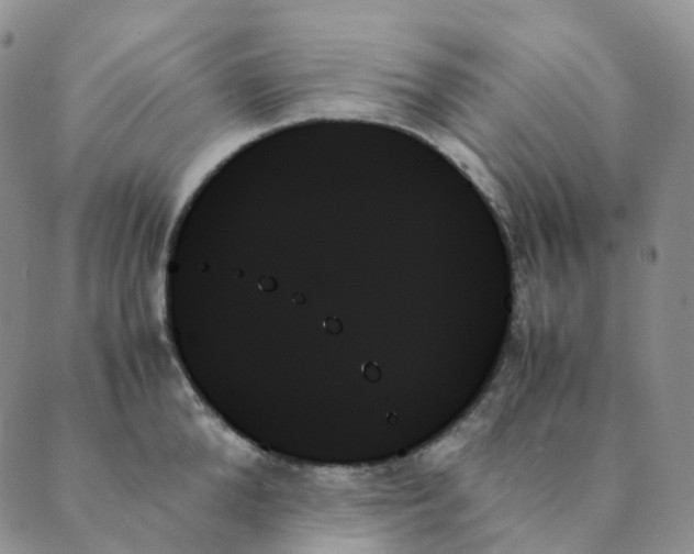 X0000089350904200707061021