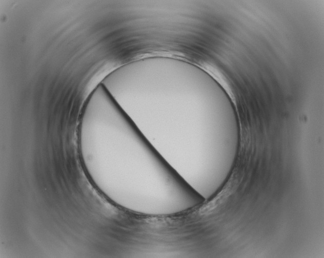 X0000089350906200707061021