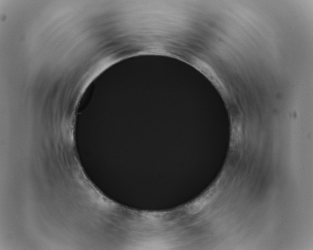 X0000089350908200707061021