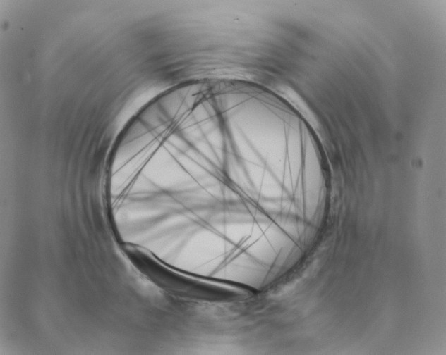 X0000089350909200707061021