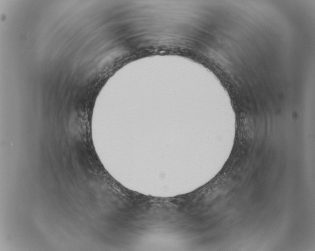 X0000089350918200707061021