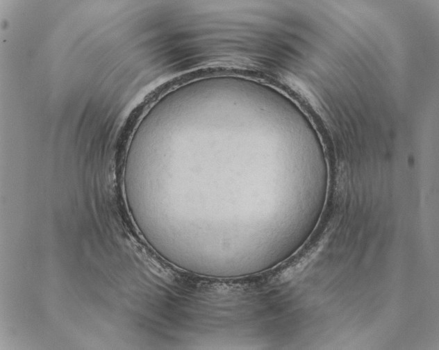 X0000089350923200707061021