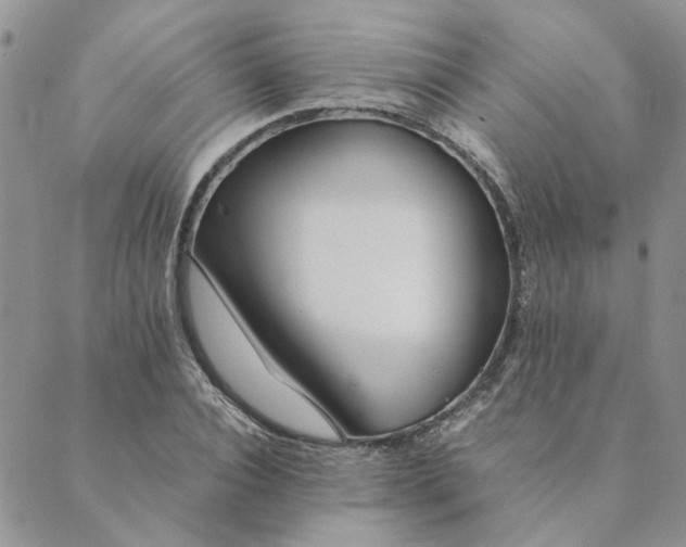 X0000089350928200707061021
