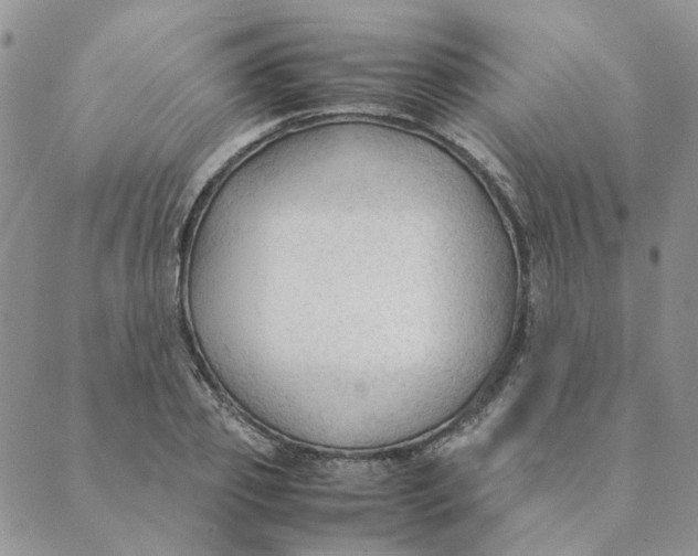 X0000089350933200707061021