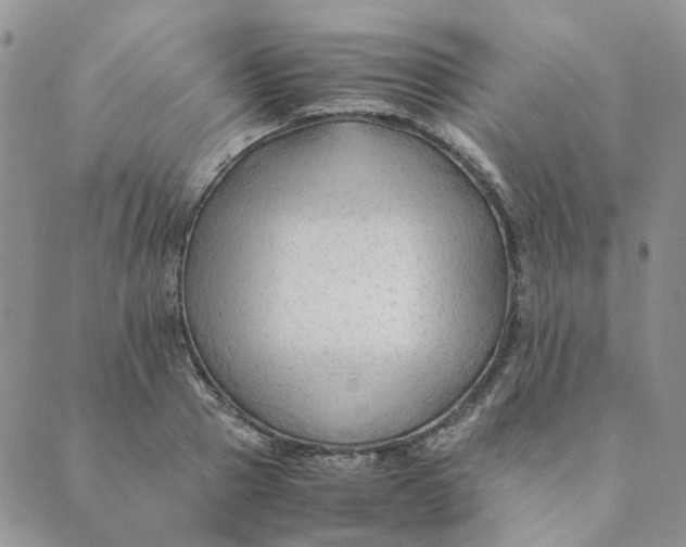 X0000089350937200707061021