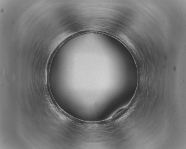 X0000089350940200707061021